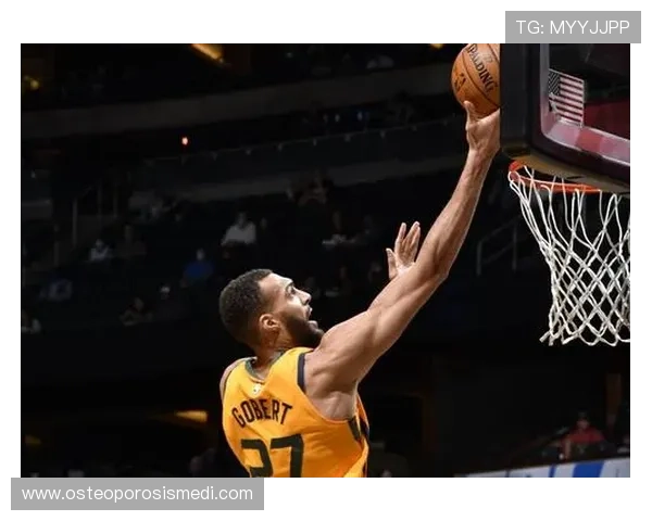 三亿体育网站登录遇到问题怎么办？实用解决方案帮助用户轻松应对