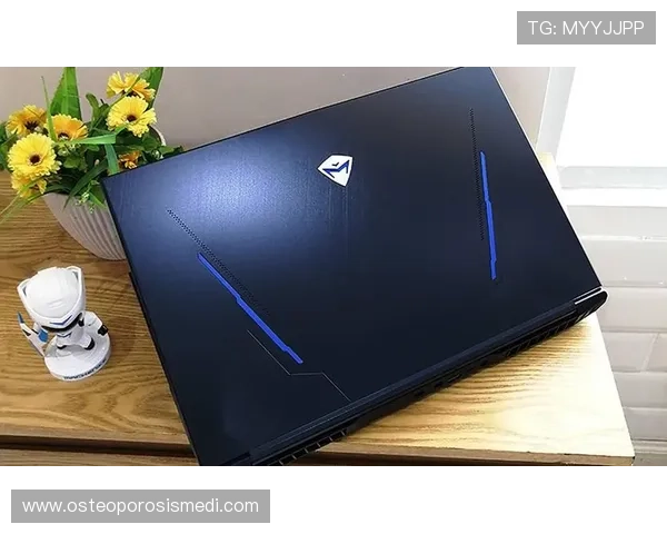 飞驰官方旗舰店多渠道支持快速配送确保玩家第一时间体验最新游戏产品